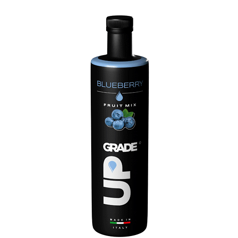 Polpa di frutta Mirtillo/Blueberry