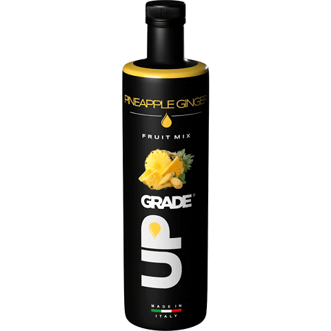 Polpa di frutta Ananas e Zenzero/Pineapple Ginger